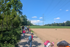 PXL_20260509_120743228