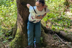 PXL_20260509_130522846