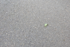 PXL_20260606_131040230