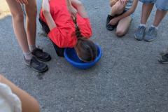 PXL_20260523_121614163