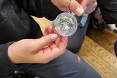 IMG-20250607-WA0022