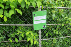 IMG-20250607-WA0027