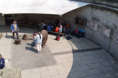 IMG-20250609-WA0001