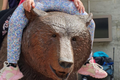 IMG-20250609-WA0002