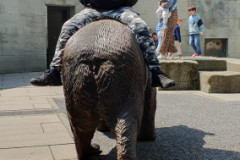 IMG-20250609-WA0015