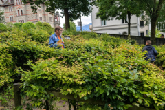 PXL_20250607_075927470