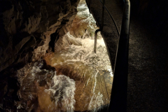 PXL_20250608_082638019