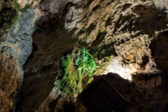 PXL_20250608_083245101
