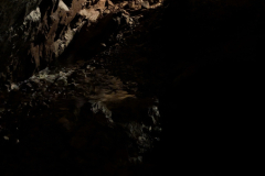 PXL_20250608_084404989
