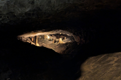 PXL_20250608_084450345