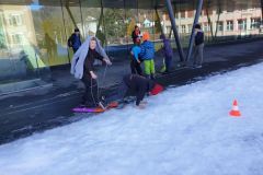 Ski-1