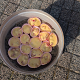 Trubschachen