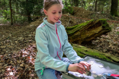 PXL_20250510_140931028