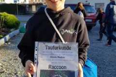 Racoon