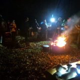Waldwiehnacht