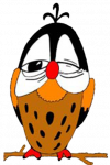 Jungschar Waldkäuze
